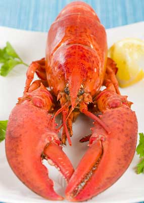 Lobster House Seafood Restaurant Fresh Local And Live Menu